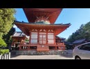 早朝のお寺でくつろぐ少し警戒心のあるハチワレ猫さん