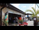 Beltran's Nursery & Landscape in Punta Gorda