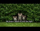 【AI MV】Crazy Cat Love Song　（猫バカの歌　英語版）