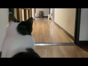 朝活