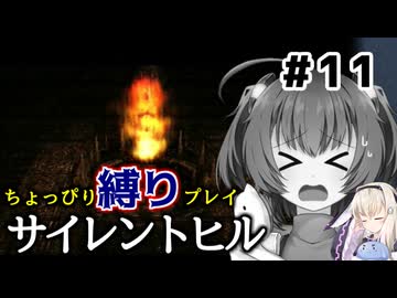 ちょっぴり縛りで【サイレントヒル】を一人と一羽がプレイ part11