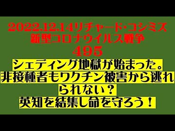 【2022年12月14日 ：『 リチャード・コシミズ「 Internet Lecture 」｟ 新型コロナウイルス戦争 ４９５ ｠｟ RK LIVE ｠｟ 改良版 ｠』】