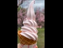 平岡公園梅林で『梅ソフトクリーム』を堪能 - 2026年5月9日 (Short video)