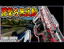弾が無ければスラッグ弾を撃てばいいじゃない＾＾DS20 MIRAGE デュアルファイアキット【COD:BO7】
