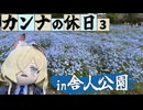 【ブルアカ】カンナきょくちょーの休日#3　～舎人公園とネモフィラ編～