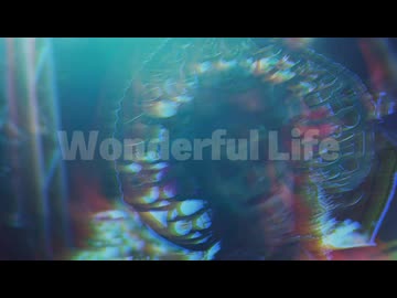 Wonderful Life/Dancing Cloud