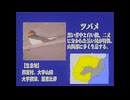 謎の地方局の教育番組【アナログホラー】