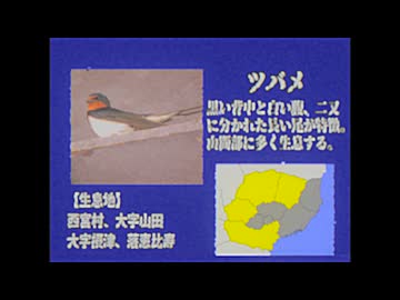 謎の地方局の教育番組【アナログホラー】