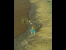 【 BotW 】証拠隠滅 ( Destruction of evidence  )【 ドリカラ 】ショート動画