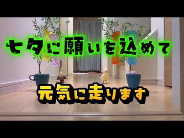 【願い事が草】限界突破！オカメの七夕マラソン24時、まさかのガチ勢現るｗ