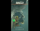 【ティアキン】ルチマー高地東のガチロック　ゼルダの伝説ティアーズ オブザキングダムNintendo Switch 2 Edition