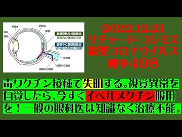 【2022年12月21日 ：『 リチャード・コシミズ「 Internet Lecture 」｟ 新型コロナウイルス戦争 ４９８ ｠｟ RK LIVE ｠｟ 改良版 ｠』】