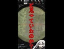 【EFT】BS弾で狙撃をしてみた結果がやばすぎた