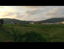毎日を気を張らず安心して自然体で人と過ごせるようになりたい人へ　無意識の緊張と警戒を緩める睡眠・瞑想用ヒーリングミュージック　自律神経を整えるBGM　自然音　528Hz healing  music
