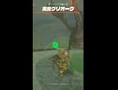 【ティアキン】ハイリア大橋の火炎グリオーク　ゼルダの伝説ティアーズオブザキングダムNintendo Switch 2 Edition