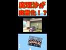【ゆっくり茶番】魔理沙が幽霊化してしまった結果ｗｗ【ゆっくり茶番劇】