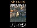 【グレイゼア】品質管理の荒いネコ | Monster Hunter Wilds