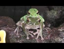 6月の面倒なヤツラー　その6