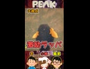 激励ラッパ【PEAK】