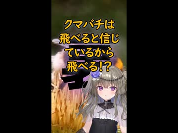 【告知】クマバチは飛べると信じているから飛べる！？