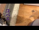 ミュントゥ 6月掃除やってみた！劇的ビフォーアフター