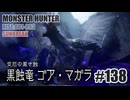 はじめてのモンハンを夜な夜な実況#138（サンブレイク・ライトボーガン）