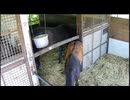 【リアダビ切り抜き】いたずら事件！まりまぼ　前編【シュシュブリーズ2026】