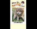 【がお〜ｯ！】テンションバチ上げでボケて読み上げてみた！ Part 117