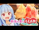 もも太郎かき氷 vs　あおたろう