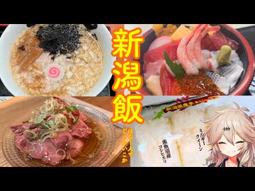 【VOICEVOX車載】ほな1人でどっかいこか（新潟飯）
