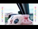 ぷぅたんとどらいぶ□