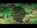 Through the Shaded Path｜作業用BGM