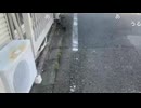 【なぎ】外配信中「うるせーよ」と言われ、敗走