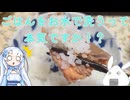 【一品もの】夏にごはんを食べるのならお水にさらしてからいただきましょうか（水まんま）【ゆっくり音声】【COOLキッチン】