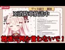 タクヤさんにべあもりゆるも