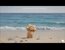 私のぬいぐるみ、ちびクマちゃん！  海編 / うみへん