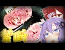 生のまま食べちゃうの…！？さわやかのハンバーグは自宅で作れるのか？【テトとゆかりの今日のご飯】