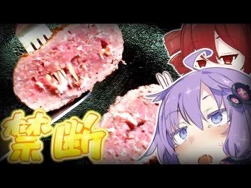 さわやかのハンバーグは自宅で作れるのか？【テトとゆかりの今日のご飯】
