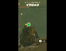 【ティアキン】ターフェア高地の洞窟のイワロック　ゼルダの伝説ティアーズ オブザキングダムNintendo Switch 2 Edition