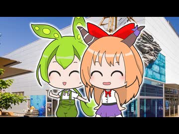 水族館に行くZNDMNとYMN姉貴