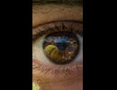 How far will it zoom? The unknown territory in the eye.