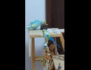 パクパク餌を食べるインコのショート動画2026 7 5