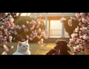 【作業用BGM】Ajakoの音絵箱〜おはようございます☔〜日曜日♬