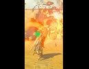 【ティアキン】めがね岩のイワロック　ゼルダの伝説ティアーズ オブザキングダムNintendo Switch 2 Edition