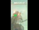 【ティアキン】めがね岩の火炎グリオーク　ゼルダの伝説ティアーズオブザキングダムNintendo Switch 2 Edition