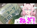 ヒメミコレポート～徳田ねぎスープ～