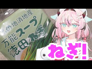 ヒメミコレポート～徳田ねぎスープ～