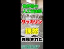 【もはや事故】サッカリンは偶然発見された！【CeVIO AI 花隈千冬】