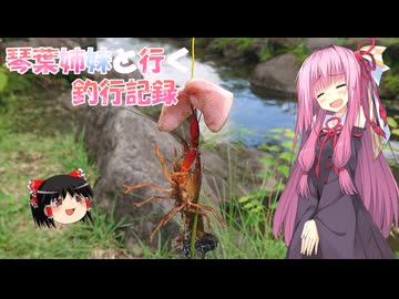 琴葉姉妹と行く釣行記録（淡水釣り編part14）