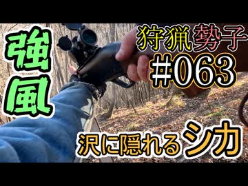 狩猟勢子動画＃063　強風　沢に隠れるシカ